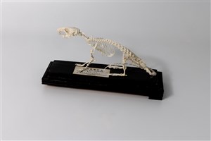 Image description is not available for 2012.6.1